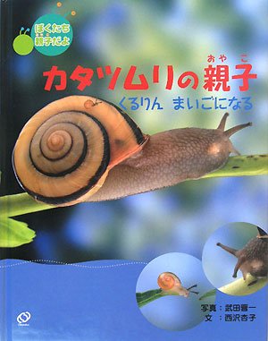 カタツムリの親子: くるりんまいごになる (ぼくたち親子だよ)｜mi:te[ミーテ]