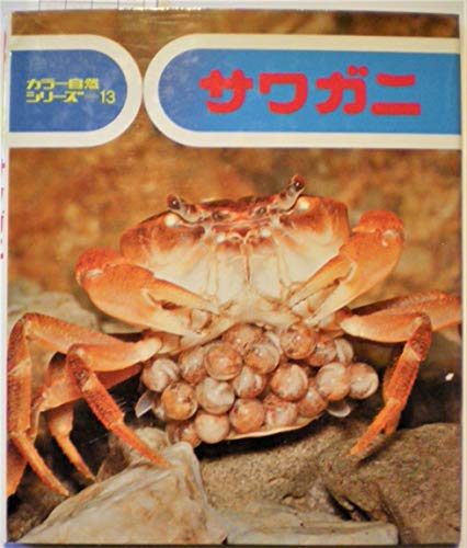 生物細密画「サワガニの子育て」 新発売】 生物細密画「サワガニの子育て」 絵画 - 絵画