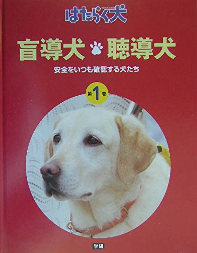 盲導犬 聴導犬 安全をいつも確認する犬たち はたらく犬 Mi Te ミーテ