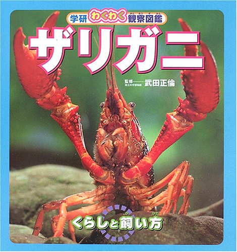 ザリガニ: くらしと飼い方 (学研わくわく観察図鑑)｜mi:te[ミーテ]
