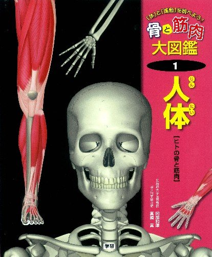 骨と筋肉大図鑑－「体」と「運動」を調べよう！（全4巻