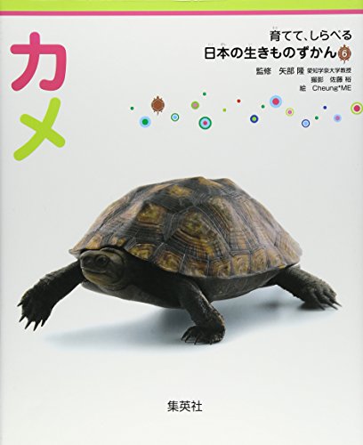 育てて、しらべる 日本の生きものずかん 6 カメ (育てて、しらべる日本