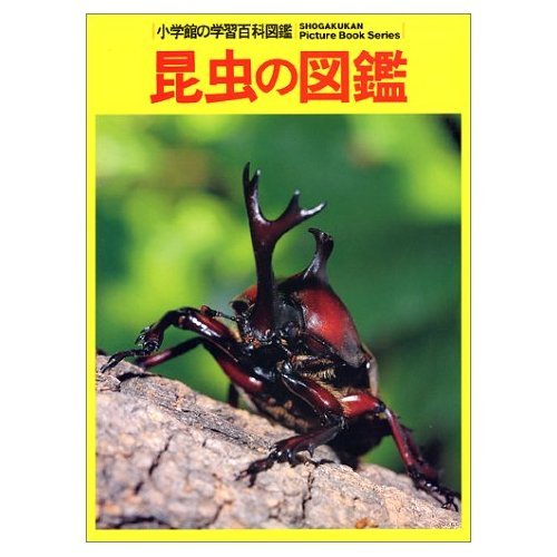 a-312 昆虫の図鑑『学習図鑑シリーズ・2』共著・古川晴男・中山
