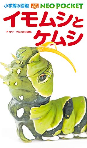 イモムシとケムシ: チョウ・ガの幼虫図鑑 (小学館の図鑑ネオぽけっと 11)｜mi:te[ミーテ]