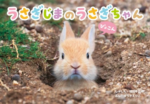 うさぎじまのうさぎちゃん｜mi:te[ミーテ]