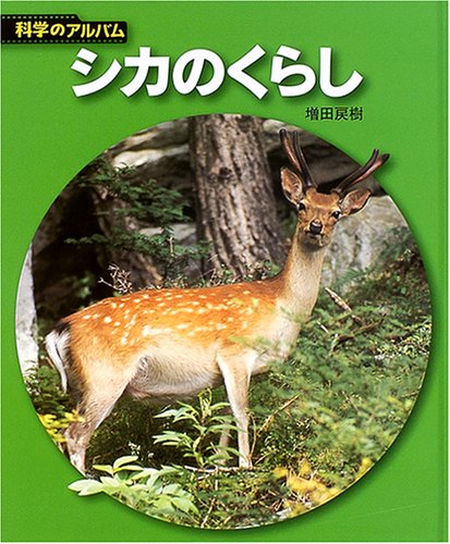 シカのくらし 新装版 (科学のアルバム動物・鳥 9)｜mi:te[ミーテ]