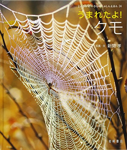 よみきかせ いきものしゃしんえほん 24 うまれたよ クモ Mi Te ミーテ