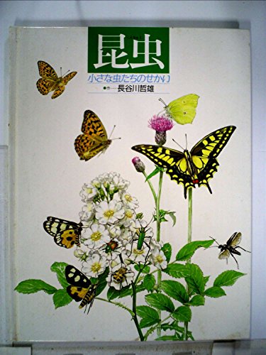 B57-038 昆虫 小さな虫たちのせかい 作―長谷川哲雄 岩崎書店 - 図鑑