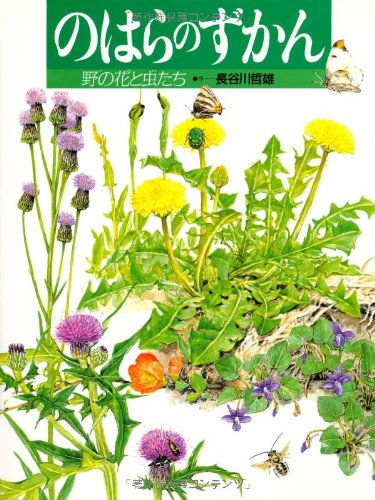のはらのずかん: 野の花と虫たち (絵本図鑑シリーズ 12)｜mi:te