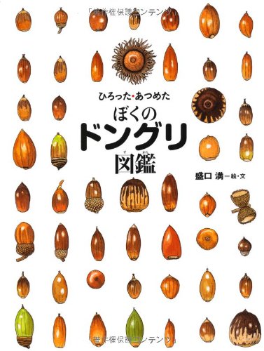 ひろった・あつめた ぼくのドングリ図鑑 (ちしきのぽけっと12)｜mi:te