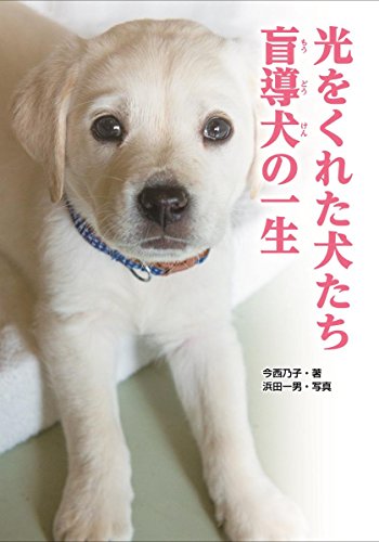 光をくれた犬たち 盲導犬の一生 (ノンフィクション知られざる世界)｜mi