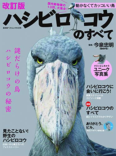 海外 ハシビロコウ大⭐︎あみぐるみ⭐︎動物シリーズ www.mijugueteria