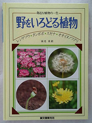 野をいろどる植物 レンゲソウ タンポポ スギナ オオイヌノフグリ 身近な植物の一生 Mi Te ミーテ