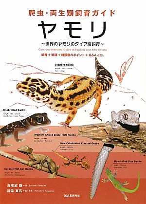 ヤモリ: 世界のヤモリのタイプ別飼育 (爬虫・両生類飼育ガイド)｜mi:te
