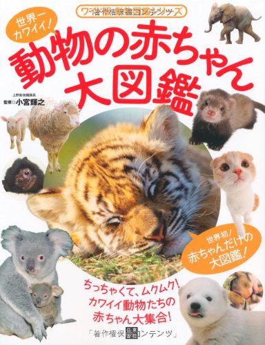 動物の赤ちゃん大図鑑 (動物図鑑シリーズ ワイド版)｜mi:te[ミーテ]
