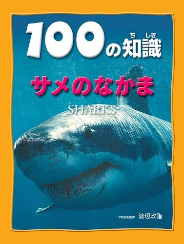 サメのなかま 100の知識 第3期 Mi Te ミーテ