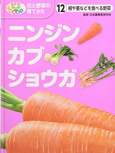 根や茎などを食べる野菜 ニンジン カブ ショウガ めざせ 栽培名人 花と野菜の育てかた Mi Te ミーテ