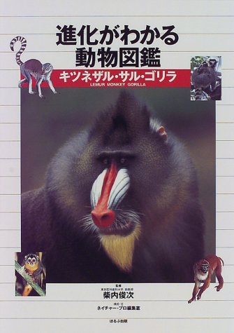 進化がわかる動物図鑑 キツネザル サル ゴリラ Mi Te ミーテ