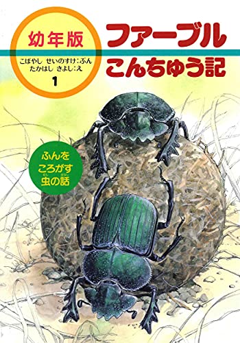 幼年版 ファーブルこんちゅう記1 たまころがし ぶん：こばやし