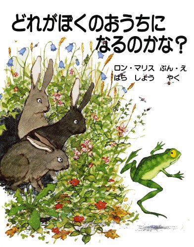 どれがぼくのおうちになるのかな?｜mi:te[ミーテ]