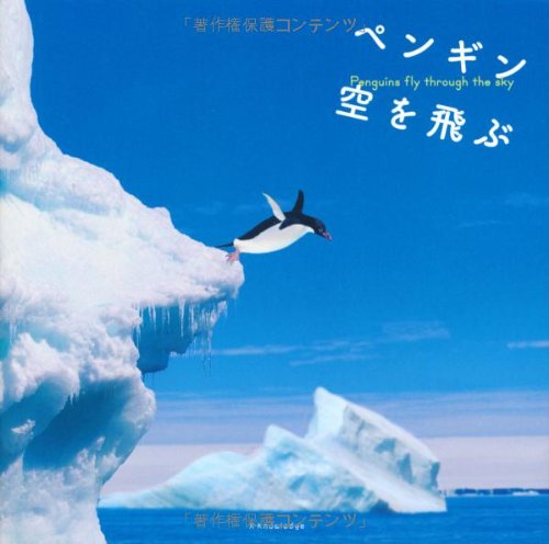 超安い 「お、ひこうき雲」空を見上げるペンギン 絵画/タペストリ