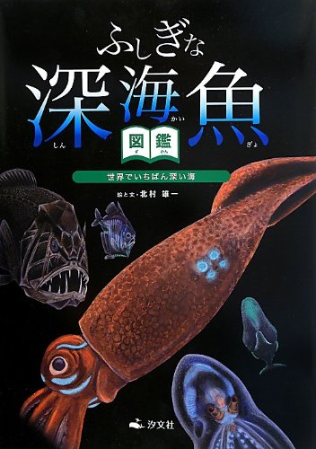 ふしぎな深海魚図鑑 (世界でいちばん深い海)｜mi:te[ミーテ]