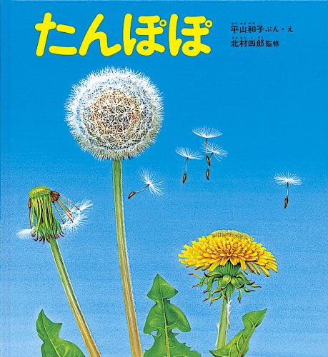 たんぽぽ たんぽぽ (かがくのとも絵本)｜mi:te[ミーテ]