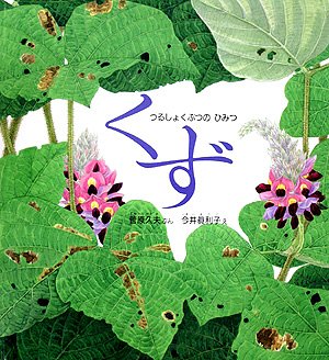 くず―つるしょくぶつのひみつ (かがくのとも特製版)｜mi:te[ミーテ]