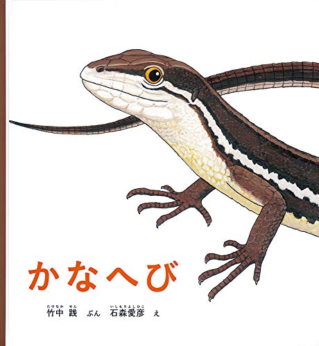 かなへび かがくのとも絵本 Mi Te ミーテ