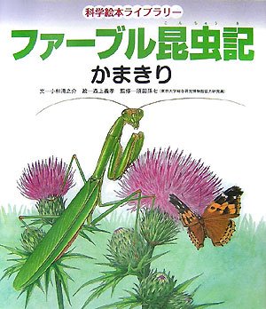 ファーブル昆虫記 かまきり (科学絵本ライブラリー)｜mi:te[ミーテ]