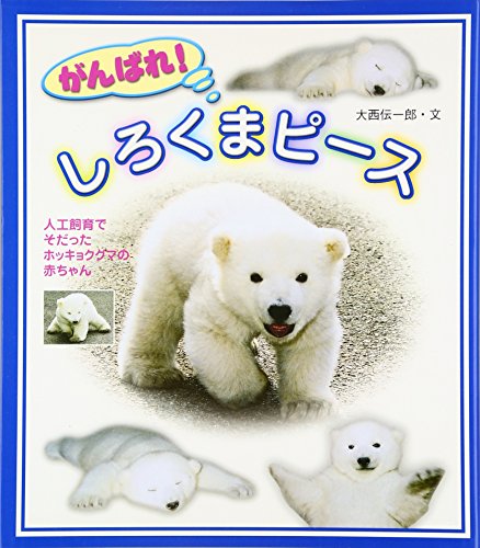 がんばれ!しろくまピース: 人工飼育でそだったホッキョクグマの