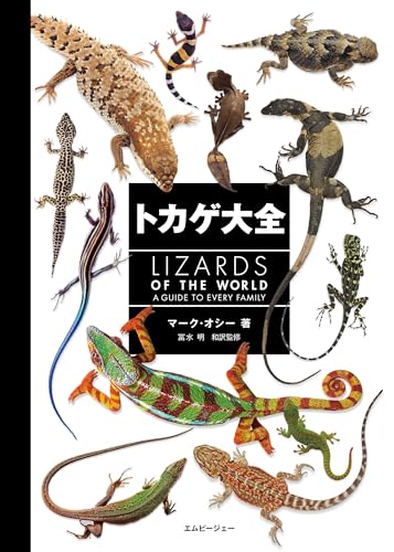 爬虫類 トカゲの生態学 参考書「Lizard Ecology」 トカゲ大全 LIZARDS OF THE WORLD｜mi:te[ミーテ]