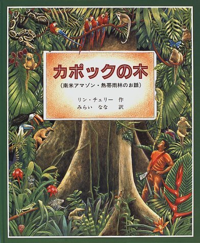 カポックの木 南米アマゾン 熱帯雨林のお話 Mi Te ミーテ