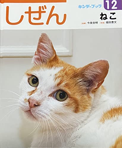 しぜん ねこ（1989年）キンダーブック 第18集第8編11月号 フレーベル館