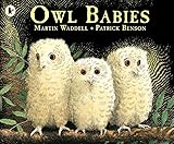 Owl Babies: A beloved classic from the recipient of An Post Irish Book Awards’ Bob Hughes Lifetime Achievement Award