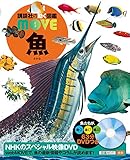 DVD付 魚 (講談社の動く図鑑MOVE)