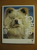 ブサかわ秋田犬 わさお (セレクトBOOKS)