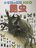 小学館の図鑑NEO 昆虫