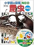 DVD付 新版 昆虫 (小学館の図鑑 NEO)