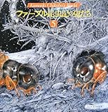 ファーブル昆虫記の虫たち (5) (KumadaChikabo’s World)