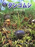 ダンゴムシ: 落ち葉の下の生き物 (科学のアルバム・かがやくいのち 2)