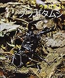 よみきかせ いきものしゃしんえほん (23) うまれたよ