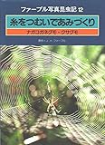 糸をつむいであみづくり: ナガコガネグモ・クサグモ (ファーブル写真昆虫記 12)