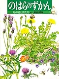 のはらのずかん: 野の花と虫たち (絵本図鑑シリーズ 12)