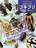 くらべた・しらべた ひみつのゴキブリ図鑑 (ちしきのぽけっと)