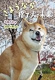 さようなら、捨て犬・未来