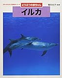 イルカ: どうぶつの赤ちゃん (ちがいがわかる写真絵本シリーズどうぶつの赤ちゃん)
