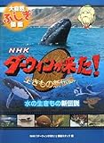 水の生きもの新伝説 (NHKダーウィンが来た!生きもの新伝説大自然ふしぎ図鑑)