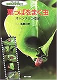 葉っぱをまく虫: オトシブミの季節 (ドキュメント地球のなかまたち)