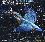 カワセミ: 青い鳥見つけた (日本の野鳥)